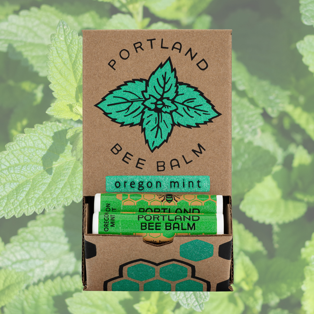 Mint Beeswax Lip Balm Display - Refreshing Hydrating 24ct