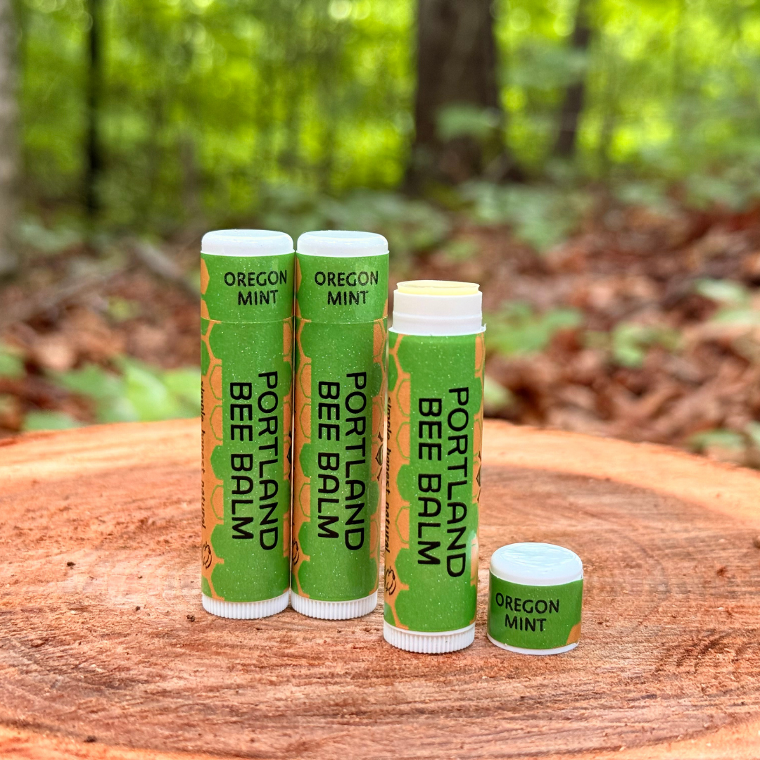 Mint Beeswax Lip Balm Display - Refreshing Hydrating 24ct