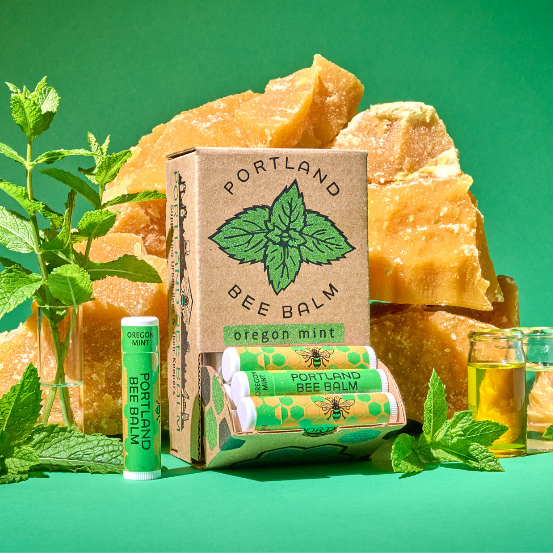 Mint Beeswax Lip Balm Display - Refreshing Hydrating 24ct
