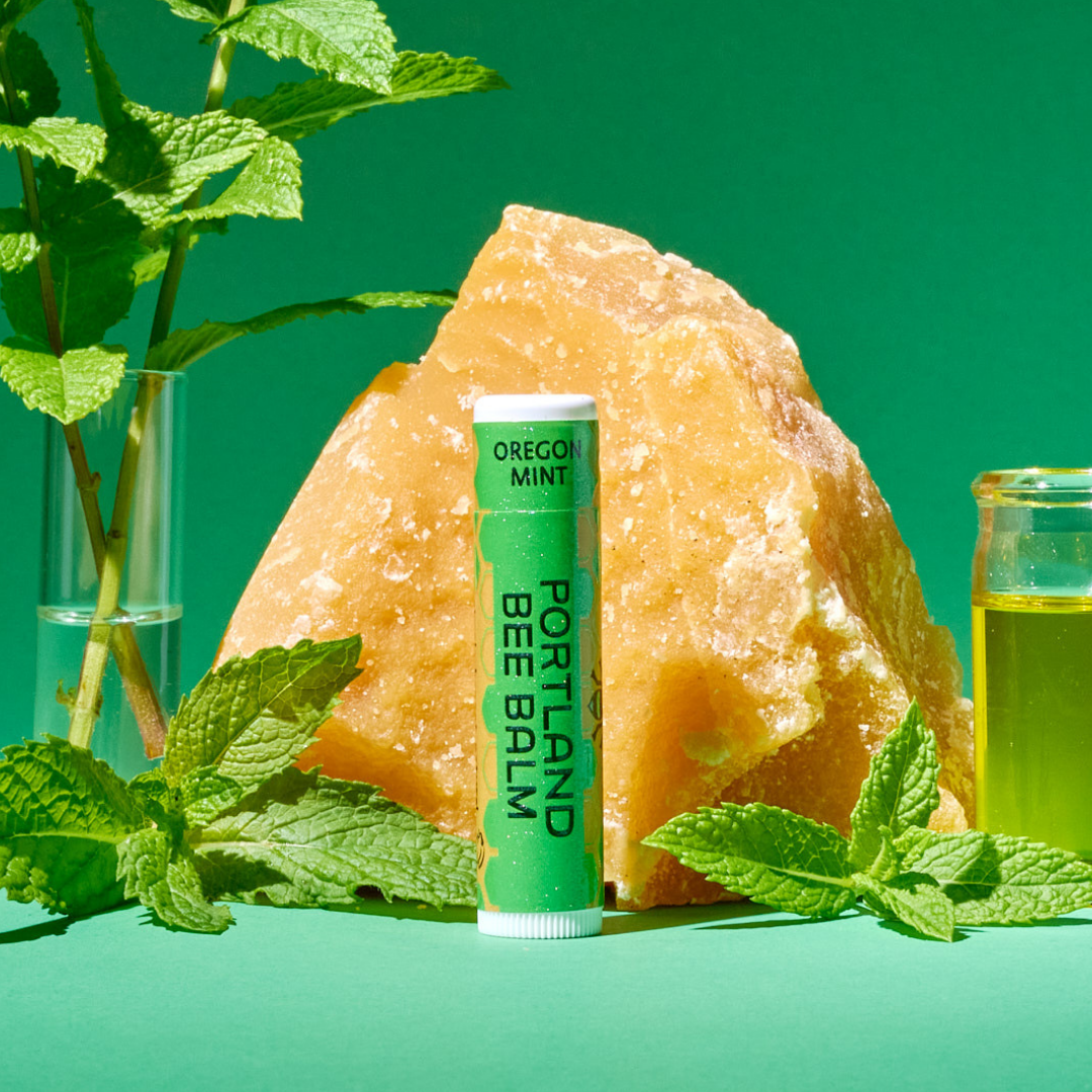 Mint Beeswax Lip Balm Display - Refreshing Hydrating 24ct