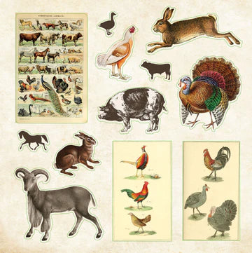 Artisan 580ct. Sticker Books | Zoological Ephemera