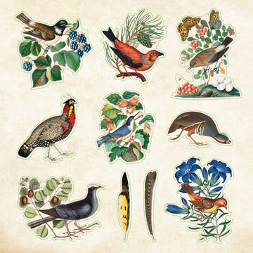 Artisan 580ct. Sticker Books | Zoological Ephemera