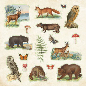Artisan 580ct. Sticker Books | Zoological Ephemera