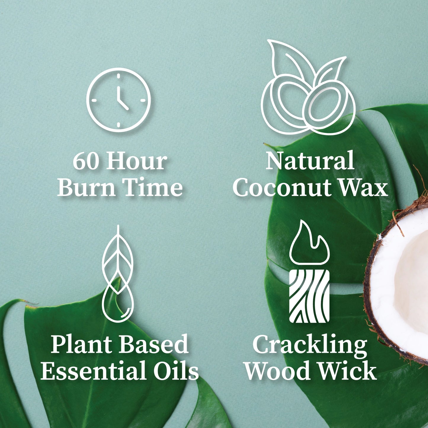 Coconut Wax Candles | Hemlock Park