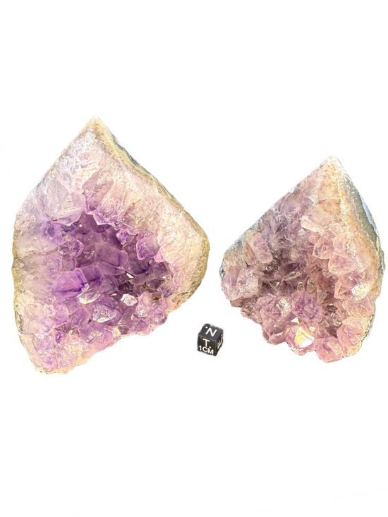 Amethyst | Rough Shaped Cluster Points | Brazil | Medium | 4"