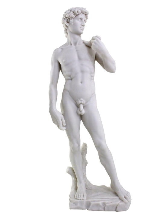 The David by Michelangelo Resin with Marble Finish 20" Statue