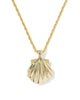 Kendra Scott  - Lucia Shell Necklace Iridescent Abalone Shell  - Gold