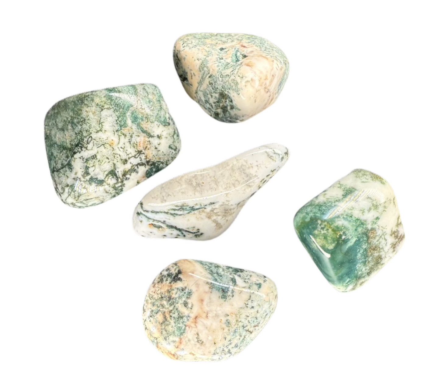 Moss Agate | Tumbled