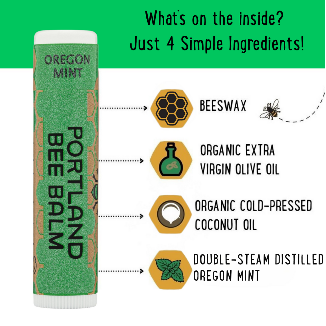 Mint Beeswax Lip Balm Display - Refreshing Hydrating 24ct