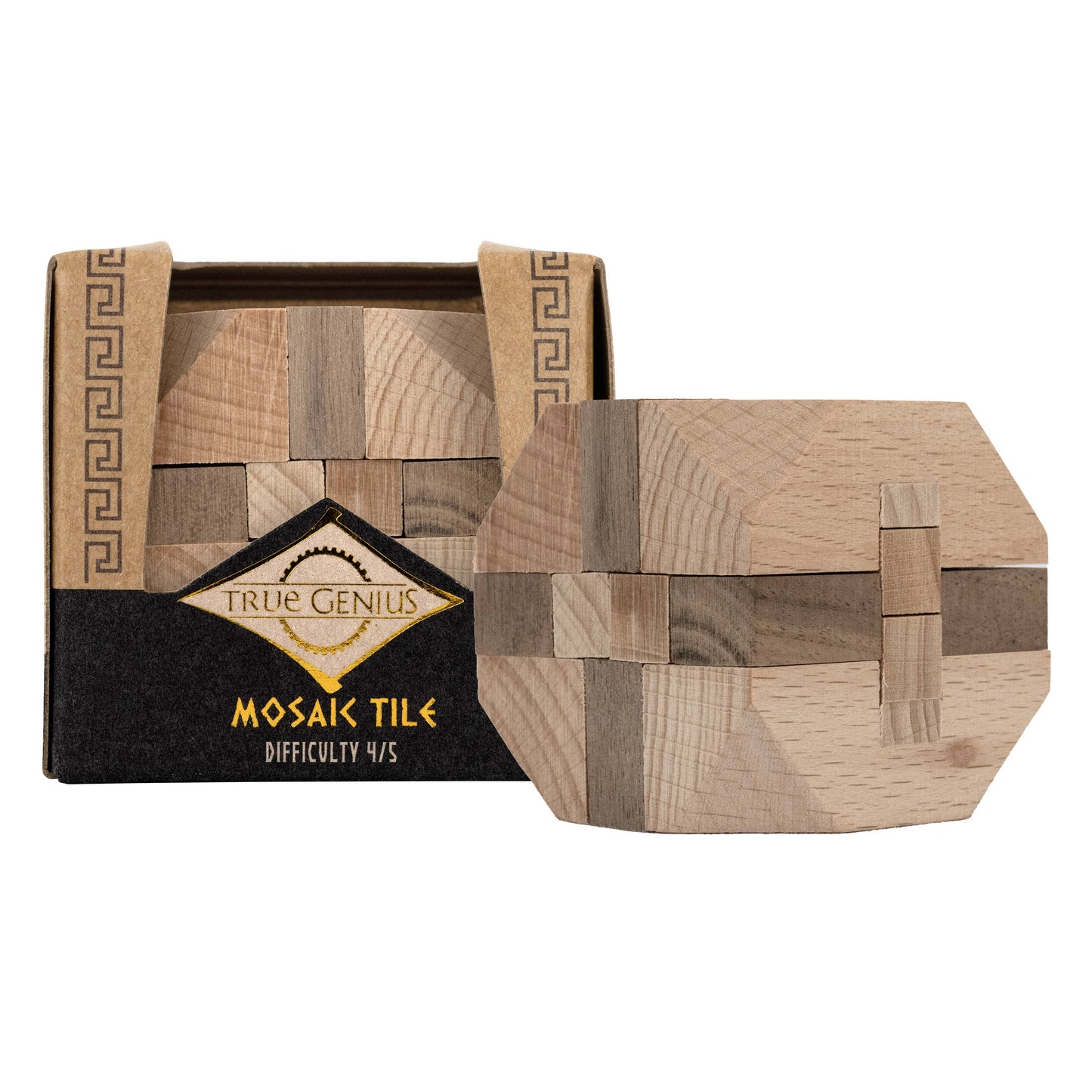 True Genius Puzzles