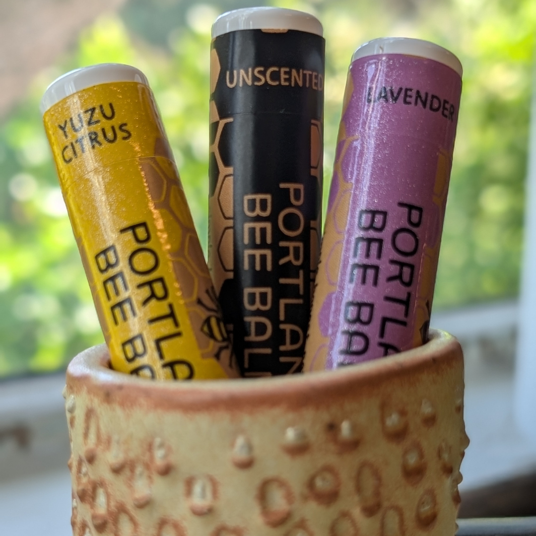 Yuzu Citrus Beeswax Lip Balm Display - Bright Hydrating 24ct