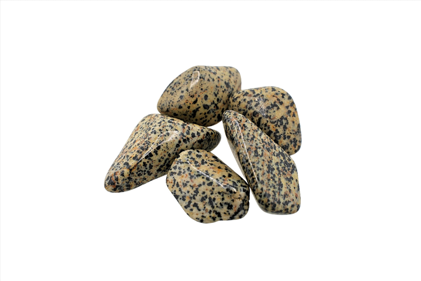 Natural, Hand-Selected Dalmatian Jasper Tumbled Stone Individual Pieces