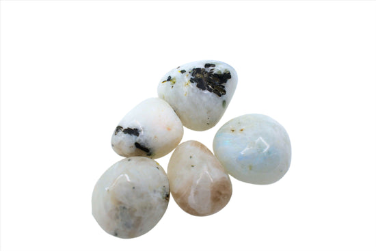 Rainbow Moonstone | Tumbled